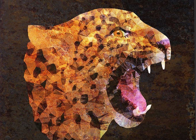 roaring leopard