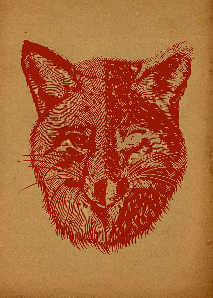 Foxface