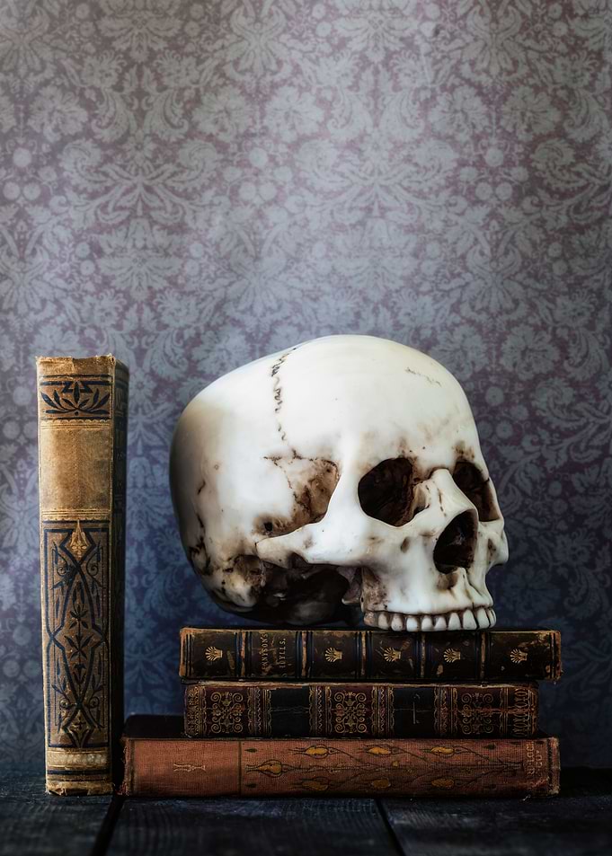 forgotten in the library
