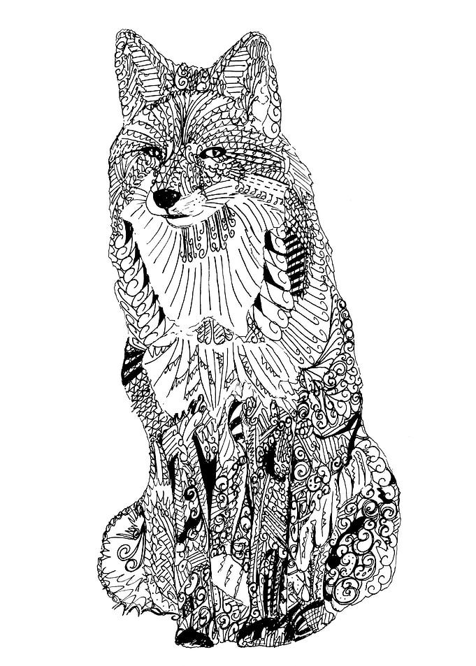 Fox