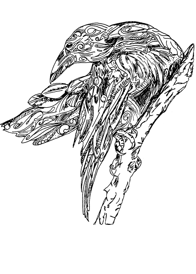 Raven