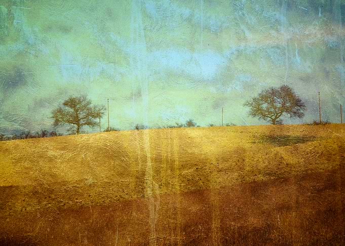Two Trees