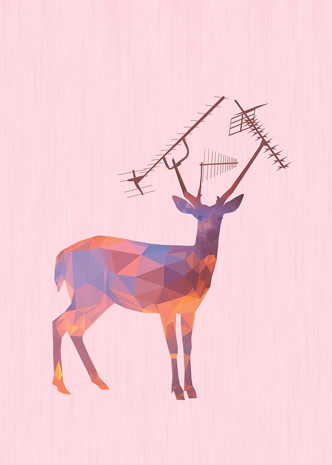Urban Deer - Sunset
