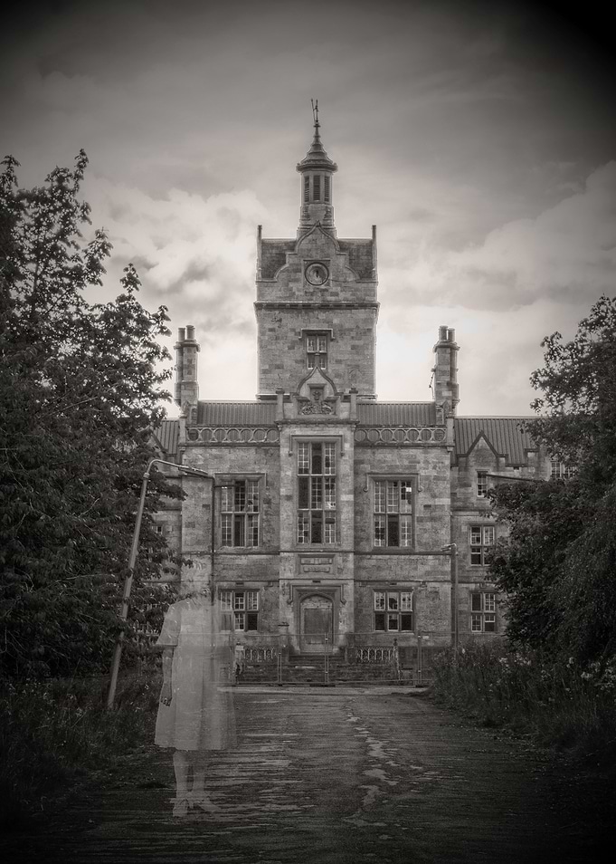 Welcome to the Asylum
