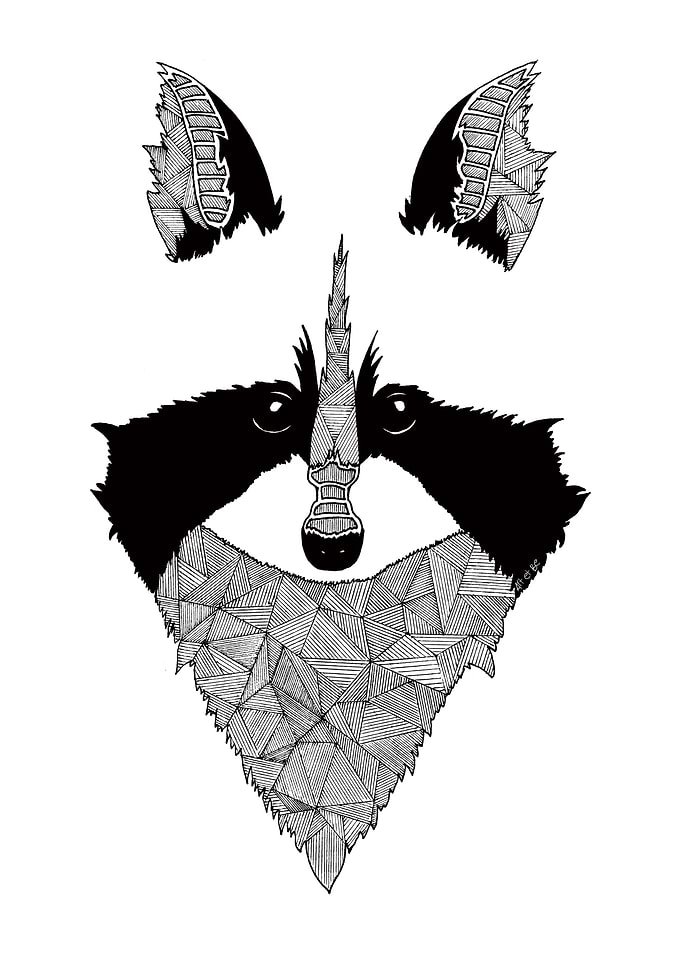 Raccoon