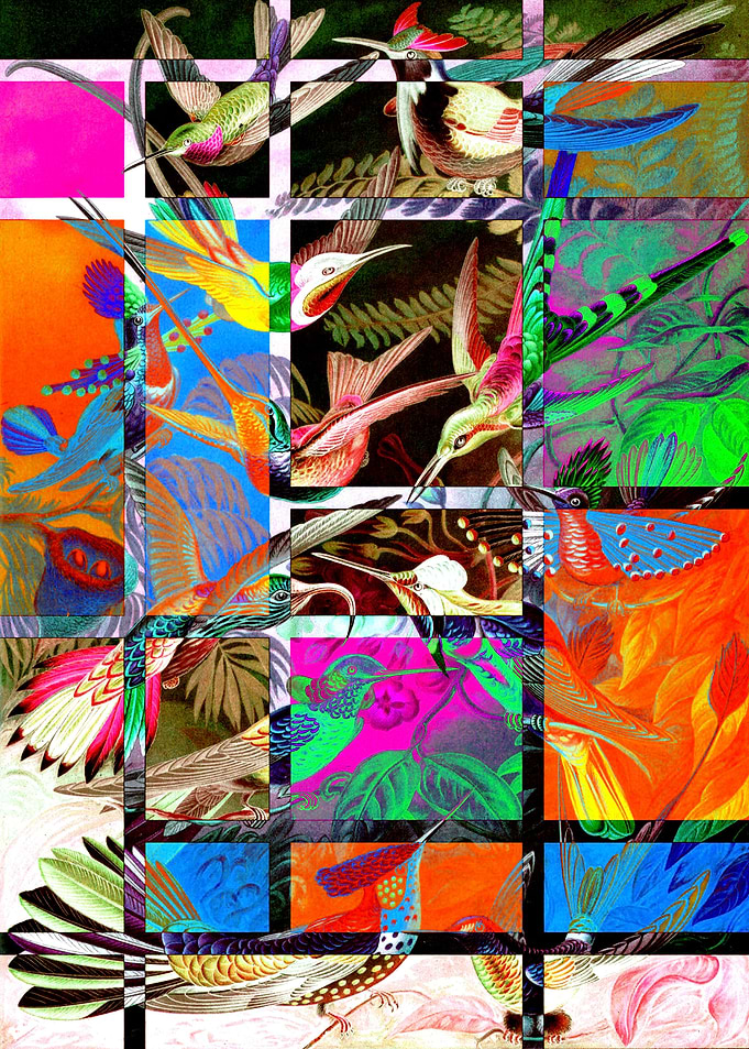 Psychedelics Birds