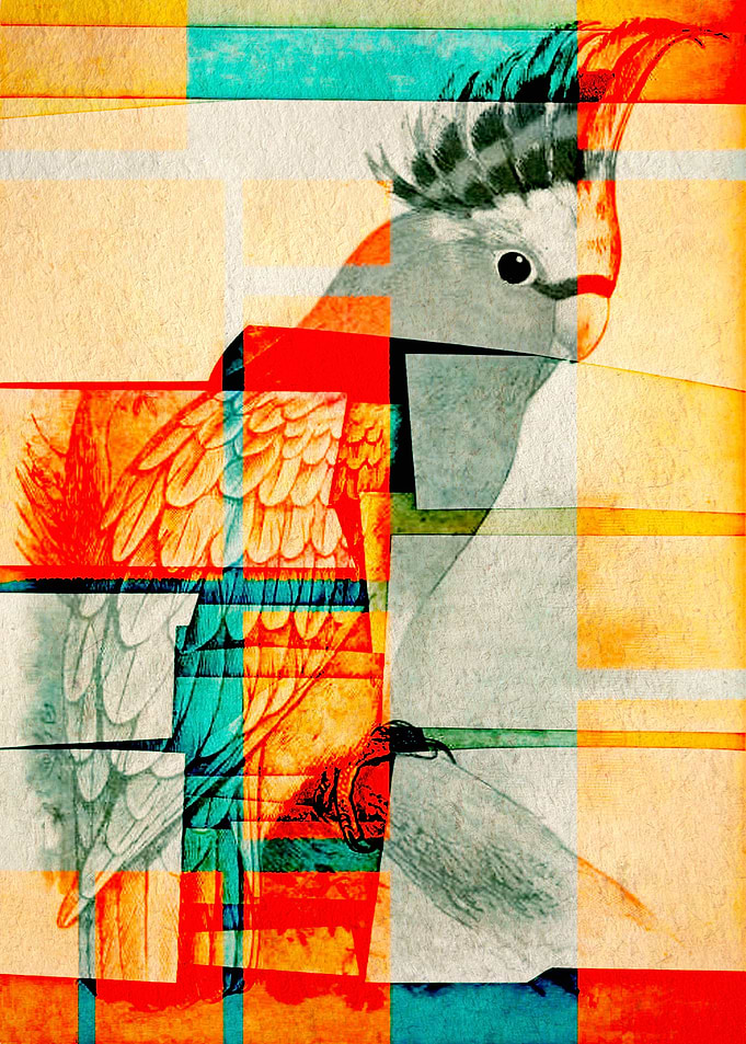 Frenzied Birds