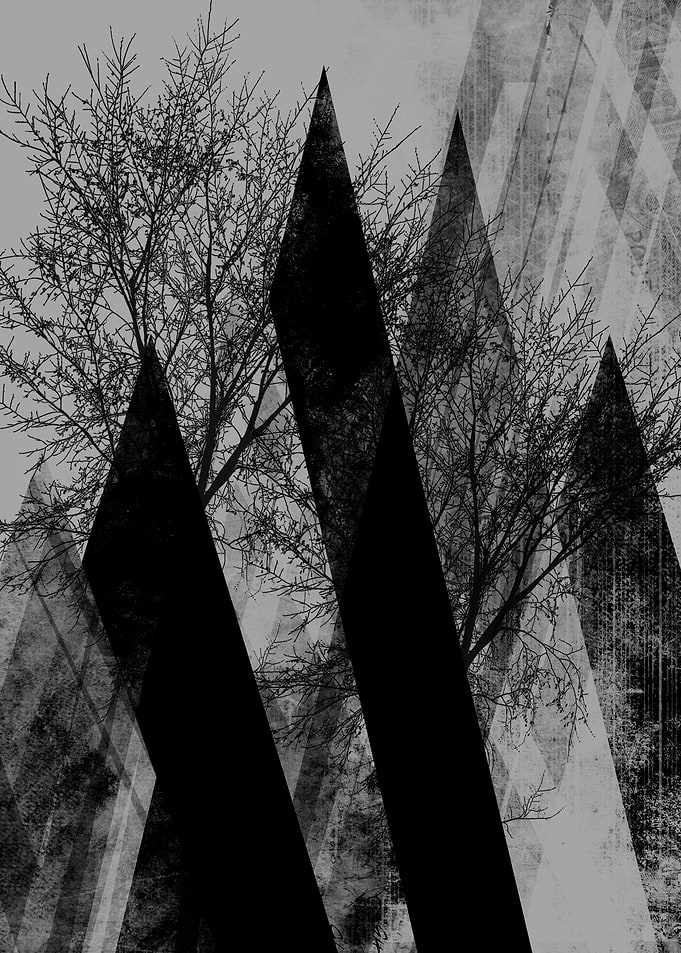 TREES V