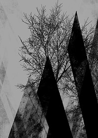 TREES Va