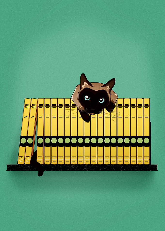 The Reader 1