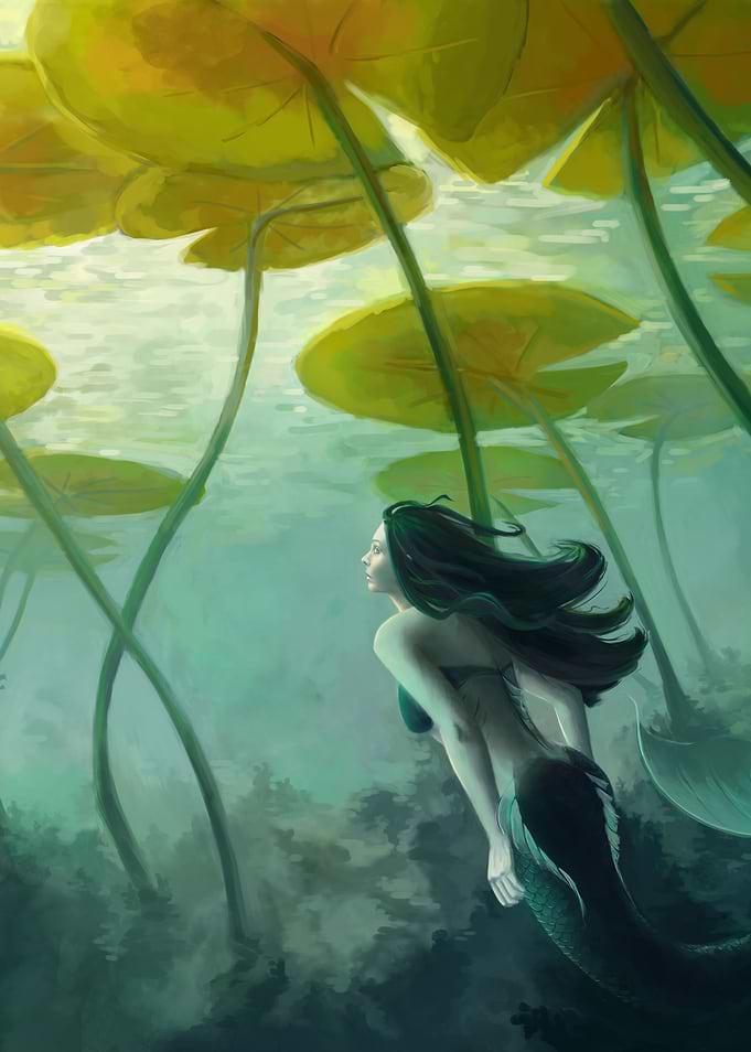 Sea Lilly