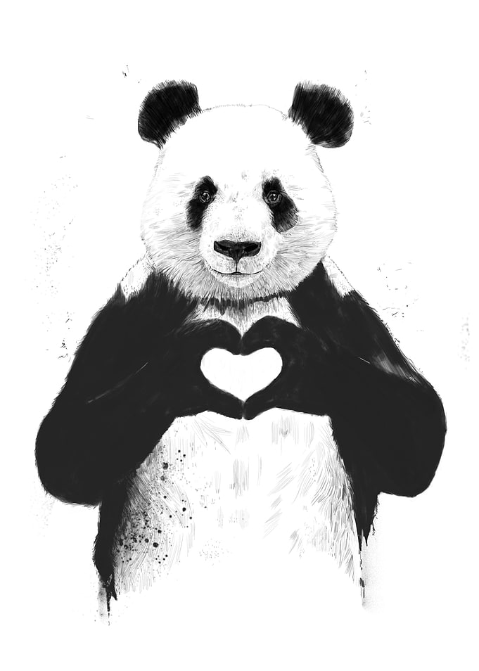 All you need is love