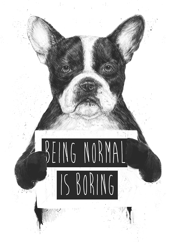 Being normal is boring