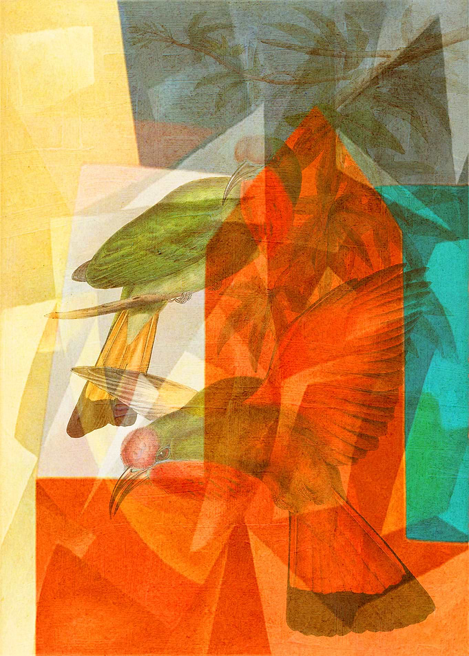 Frenzied Birds II