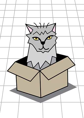 Cat in a Box