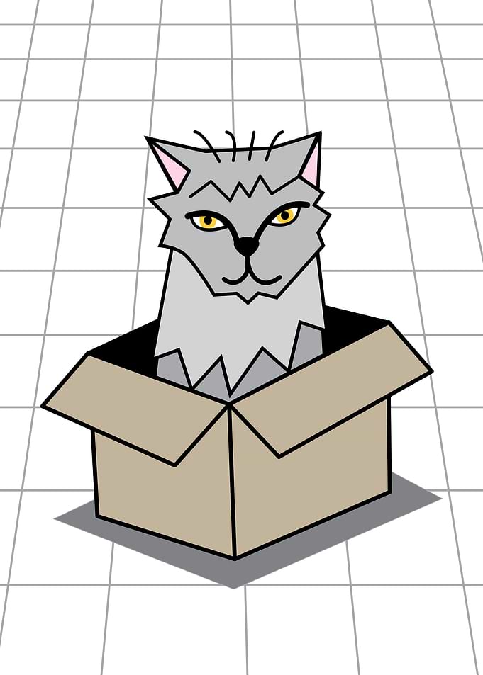 Cat in a Box