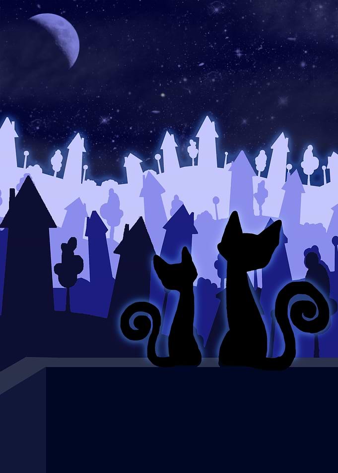 The cats and the city