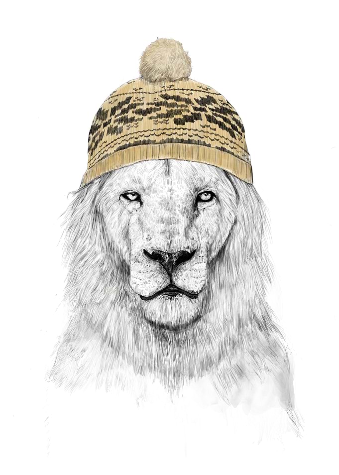 Winter lion