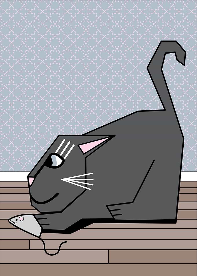 Pouncing Cat