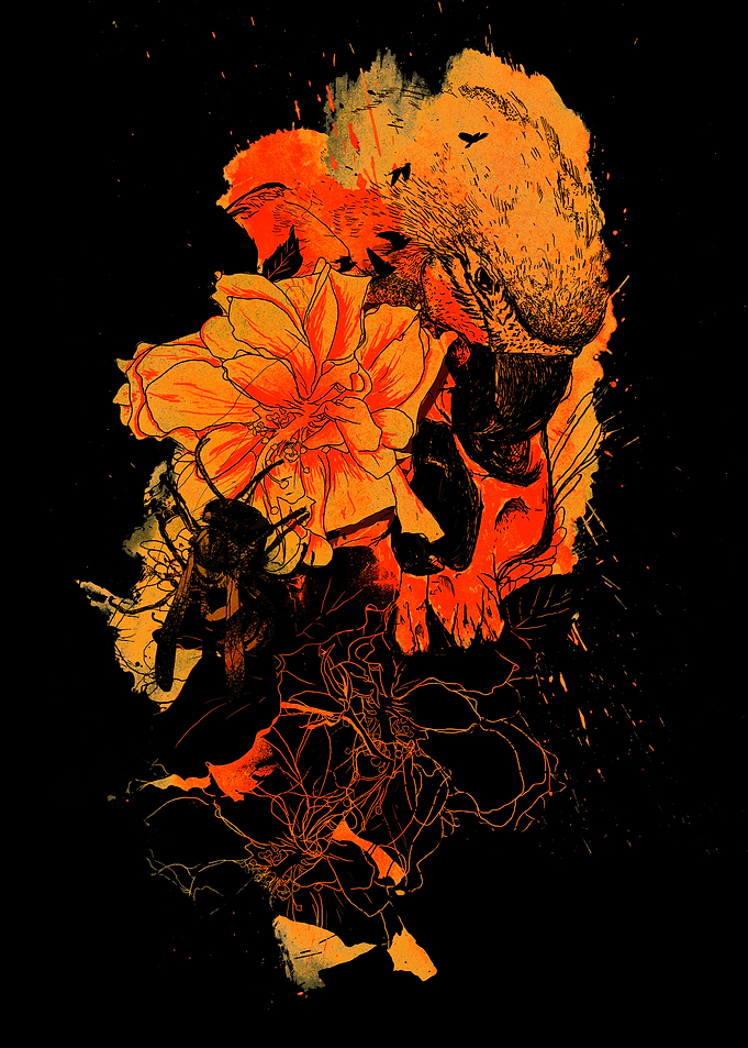 Pollination