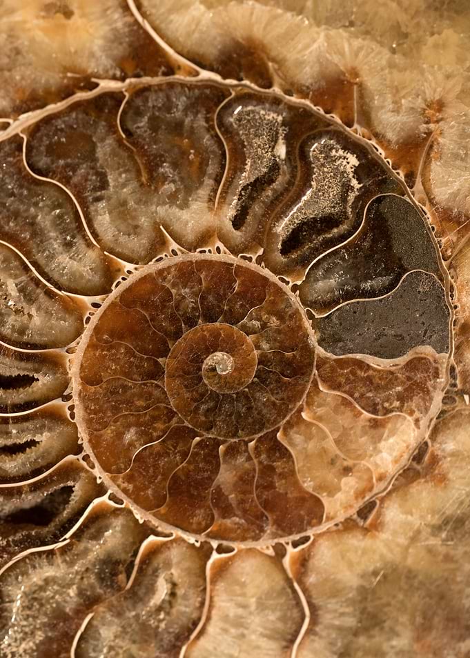 Ancient treasure I