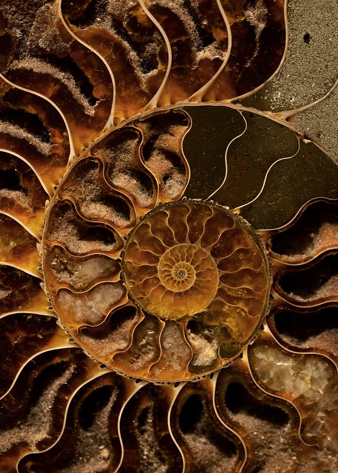 Ancient treasure III