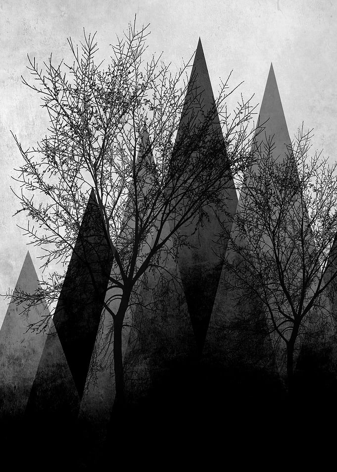 TREES VI