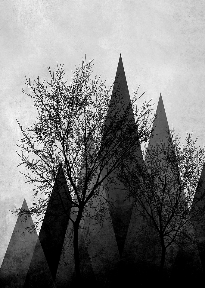 TREES VI