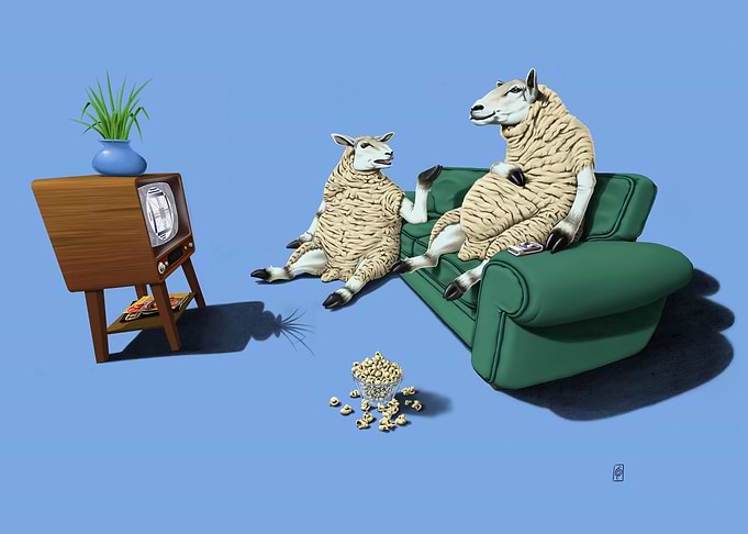 Sheep (Colour)