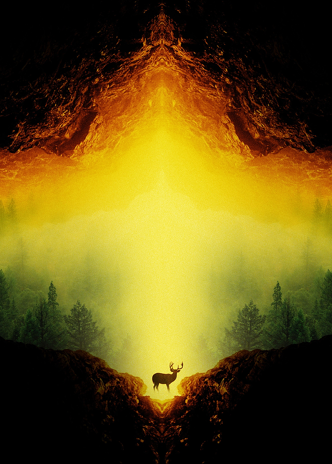 Oh Deer
