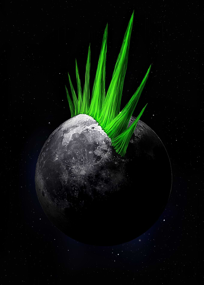 Moonhawk