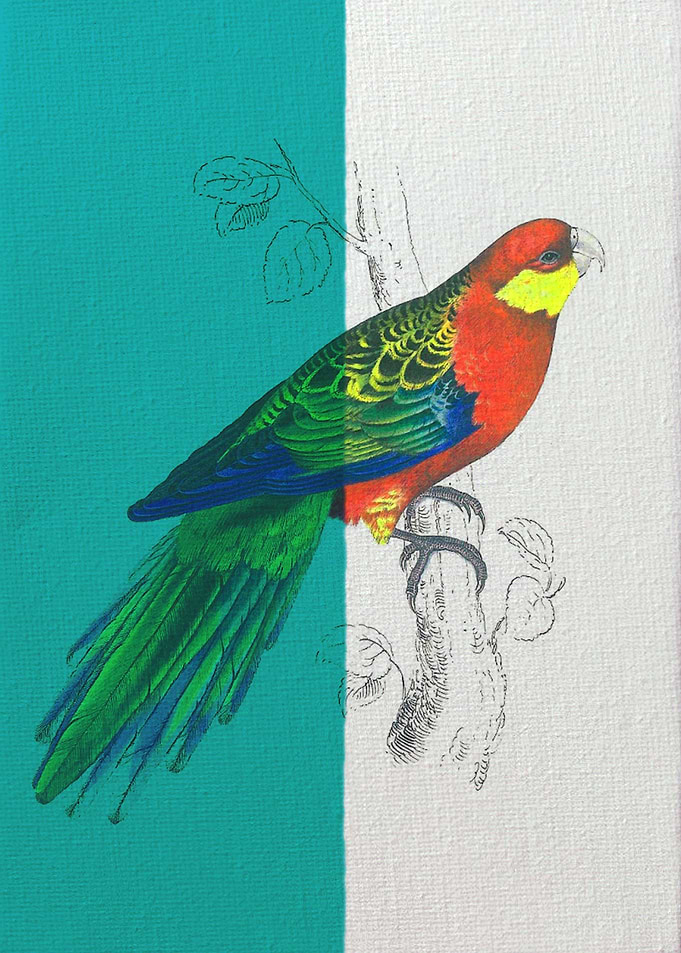 Frenzied Birds III