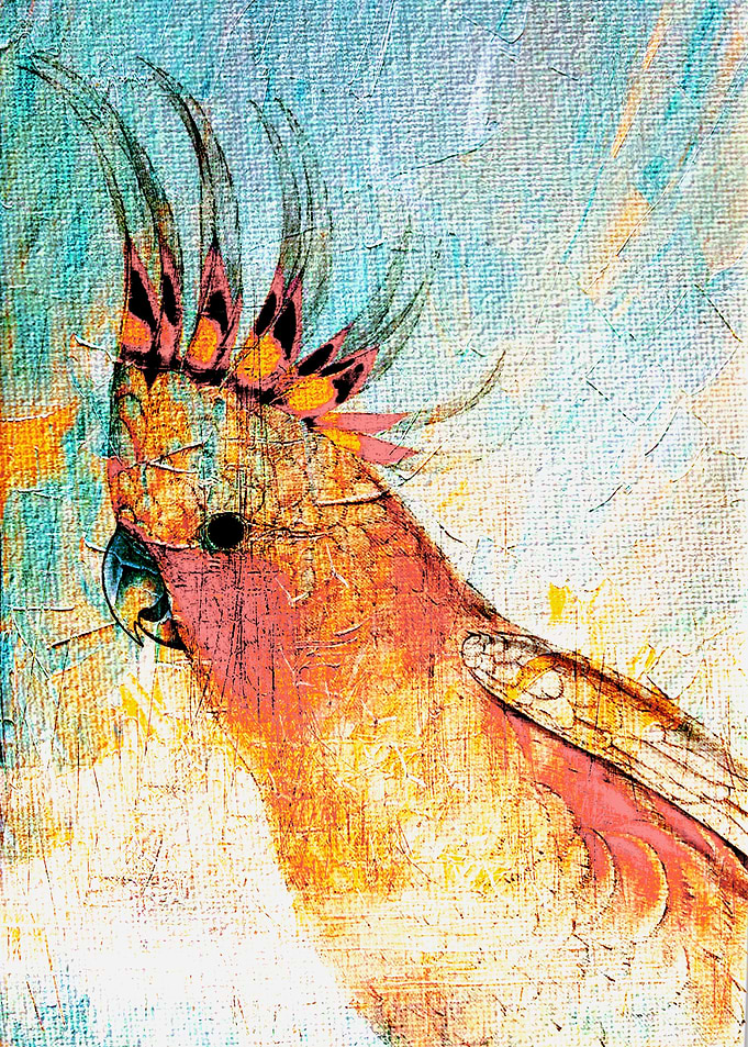Frenzied Birds IV