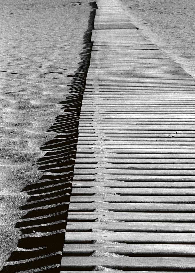 LINES