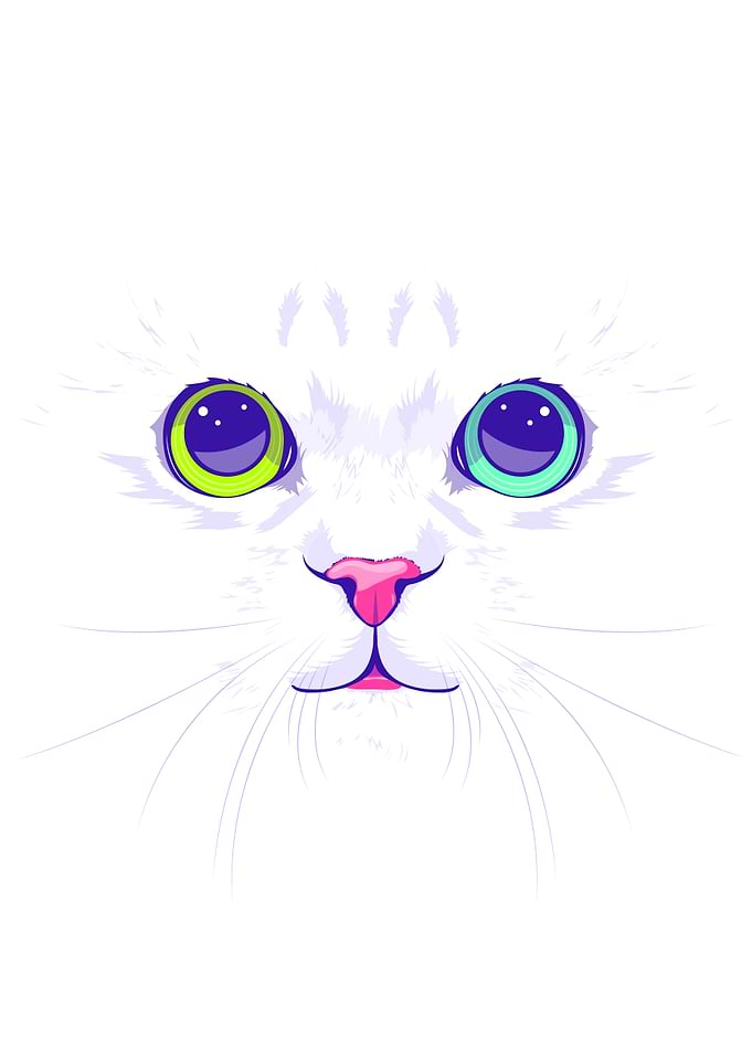 White cute cat