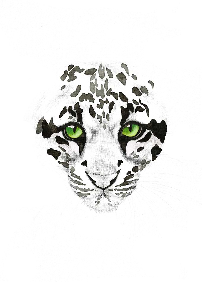 Clouded Leopard