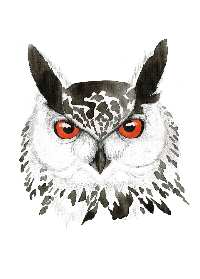 Eagle Owl