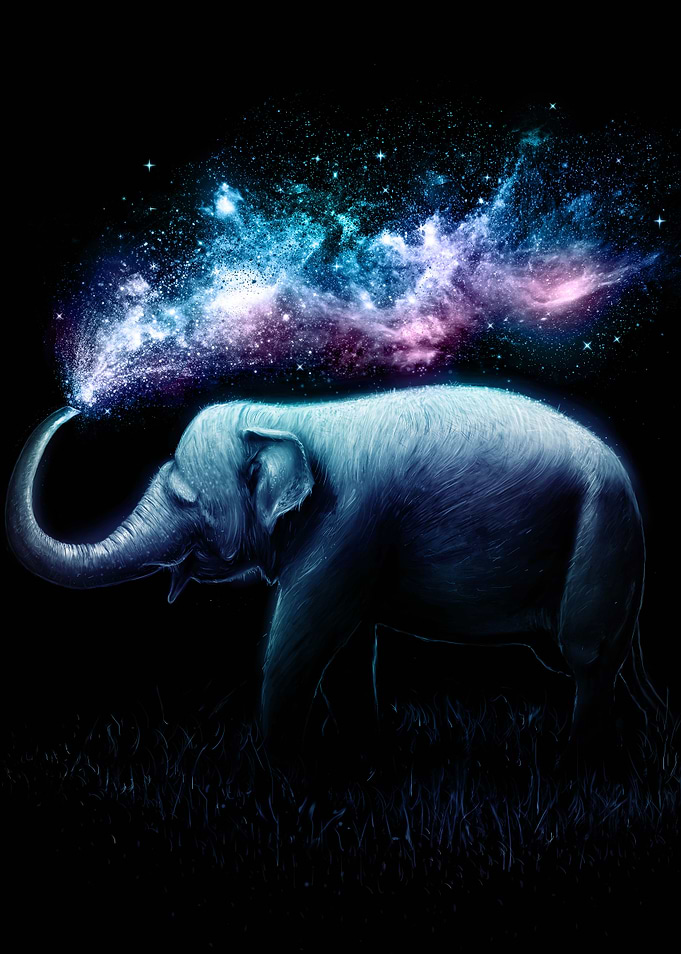 Elephant Splash
