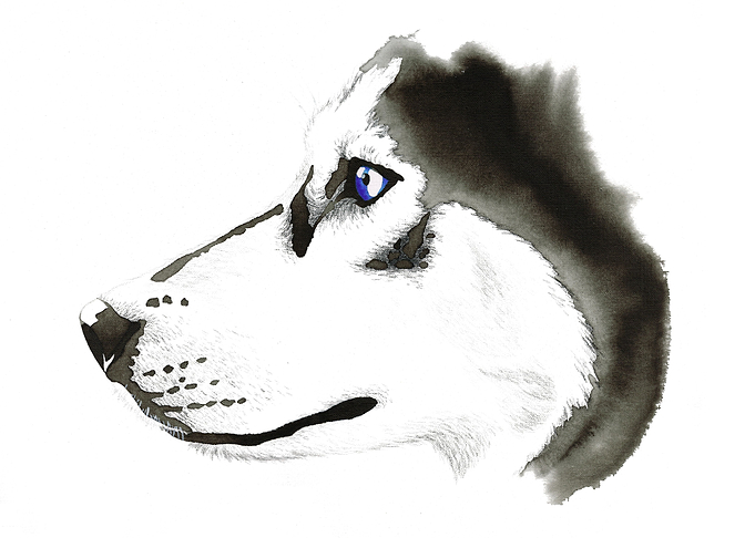 Husky