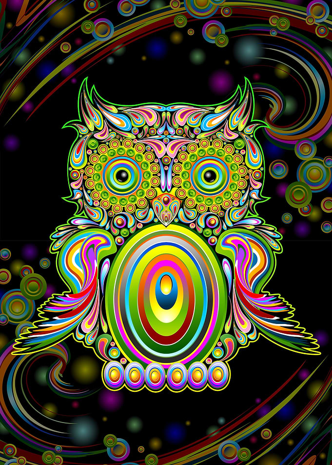 Owl Psychedelic Doodle Art