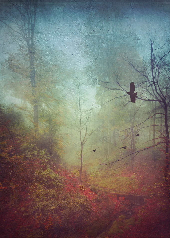 Misty November morning