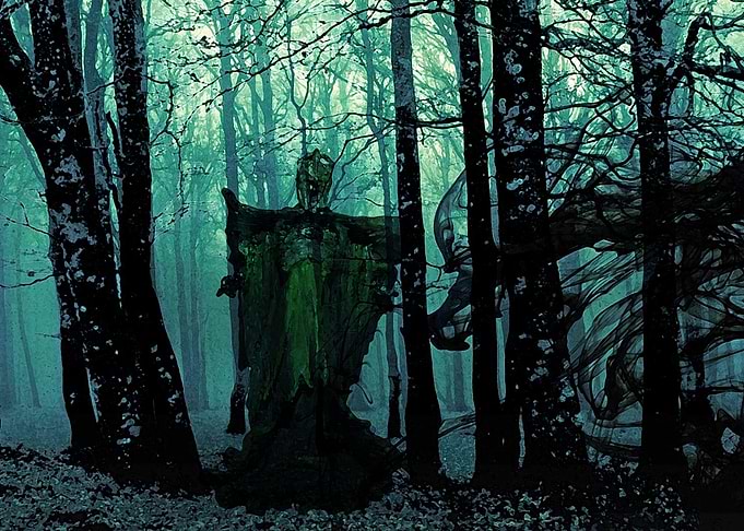 dry brush of a necromaner in the woods