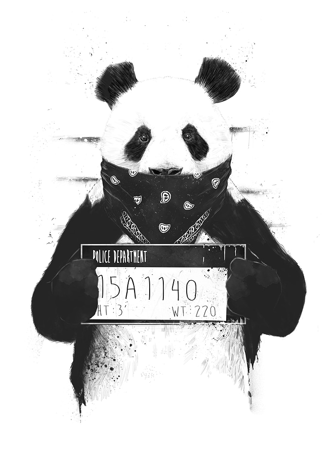 Bad panda