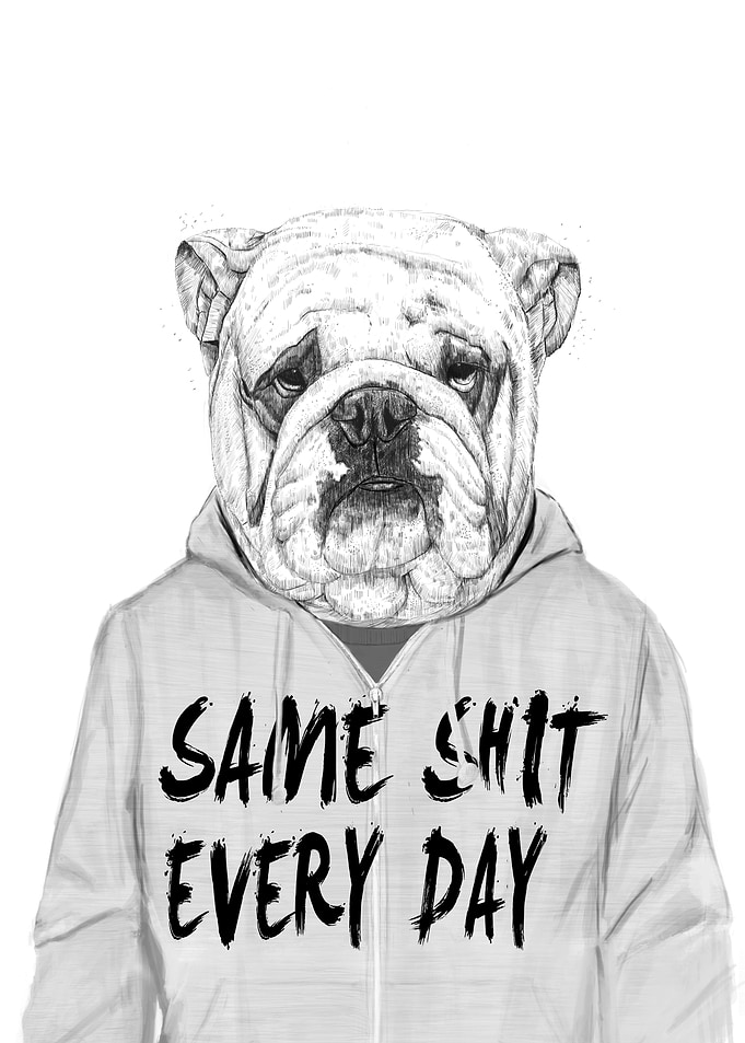 Same shit...