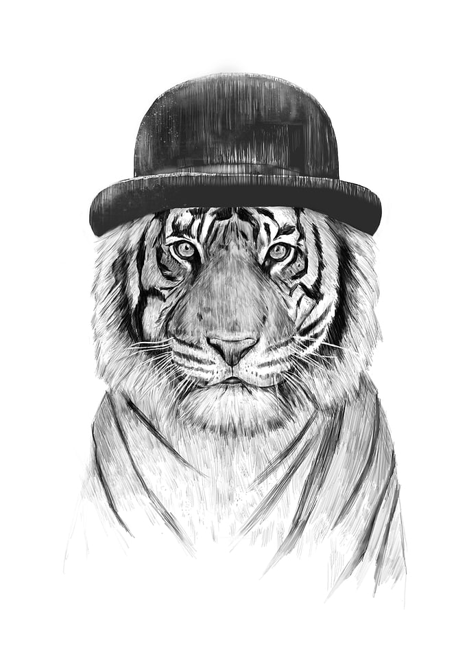 Welcome to the jungle
