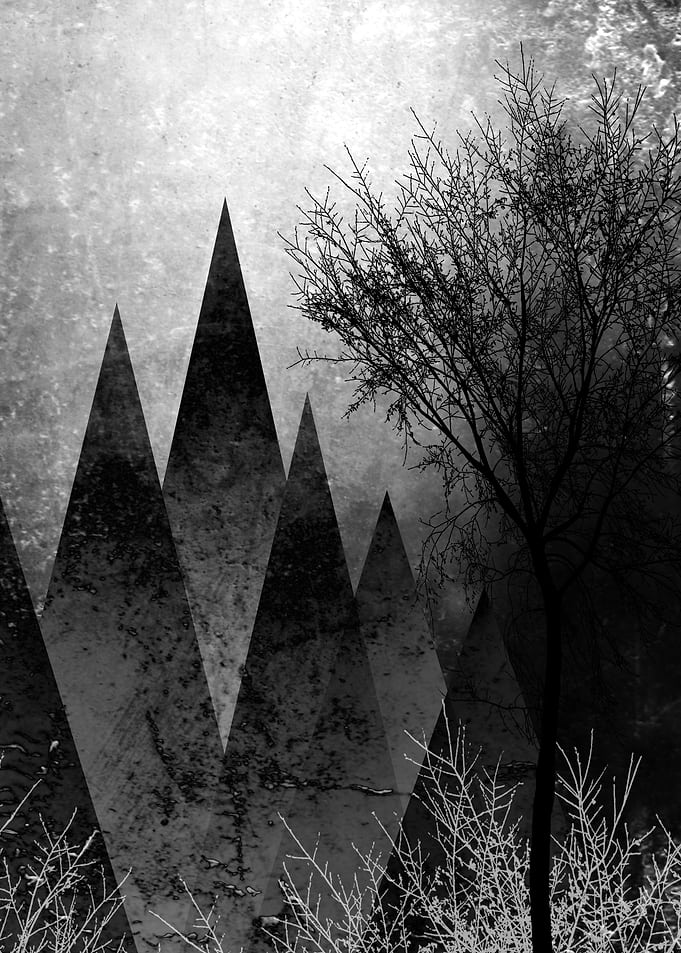 TREES VIb