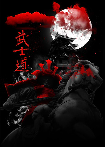 Samurai Sentinel: During a time of war one lone samurai ...