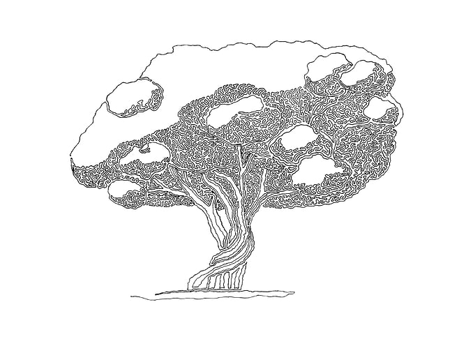Tree 05. Drawing with one line. The line starts on the ...