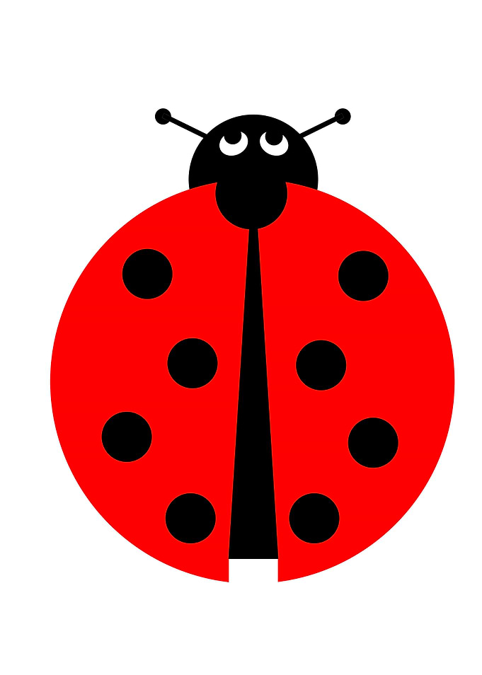 Ladybug illustration on white background.