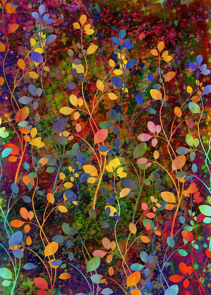 Amongst the Flowers - Rainbow Array